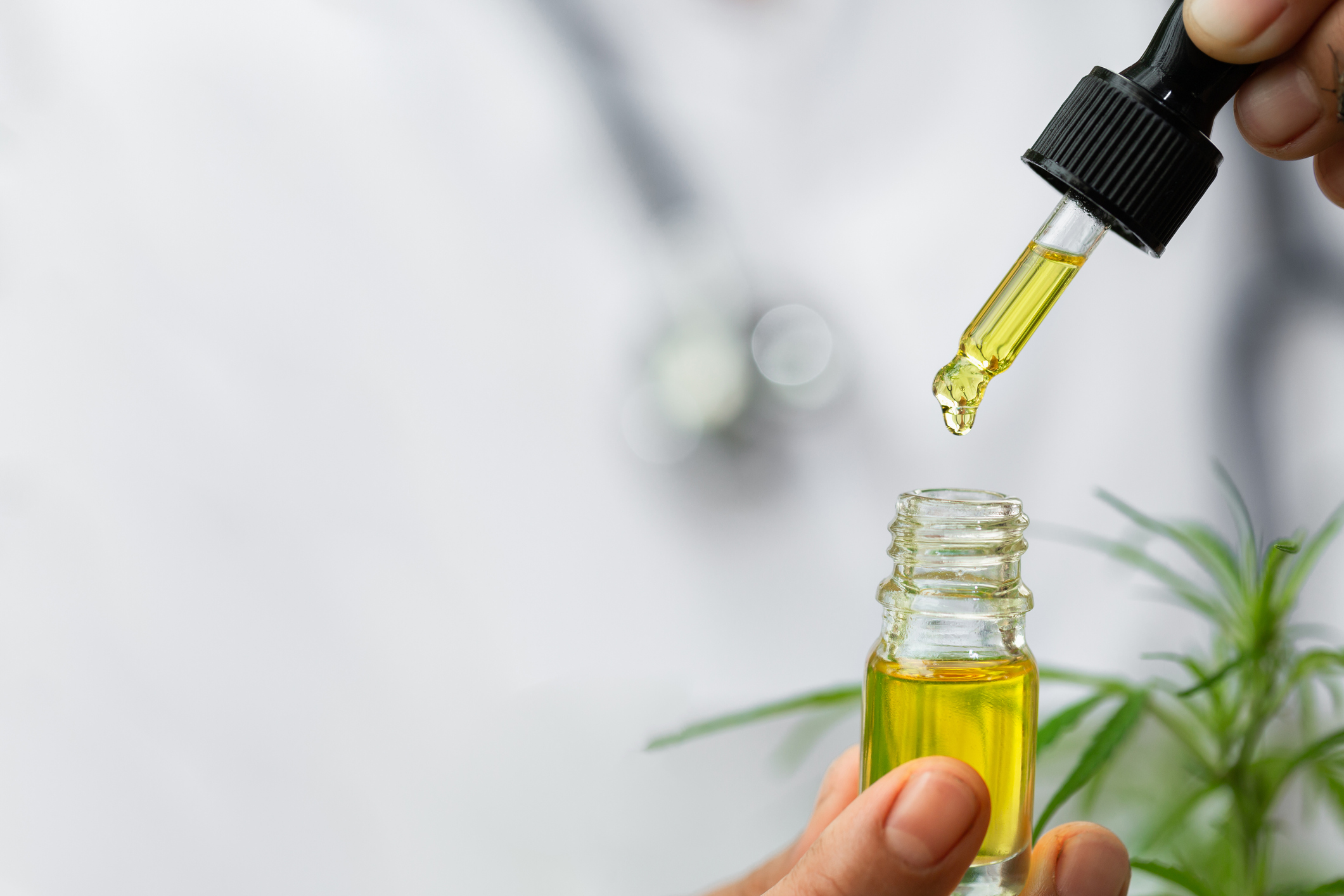 Cannabis CBD Oils 101: The What, How and Why - Sessions Cannabis